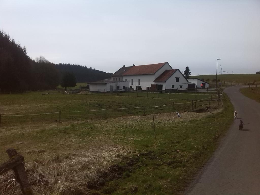 Muehlenhof Stadtkyll Buitenkant foto
