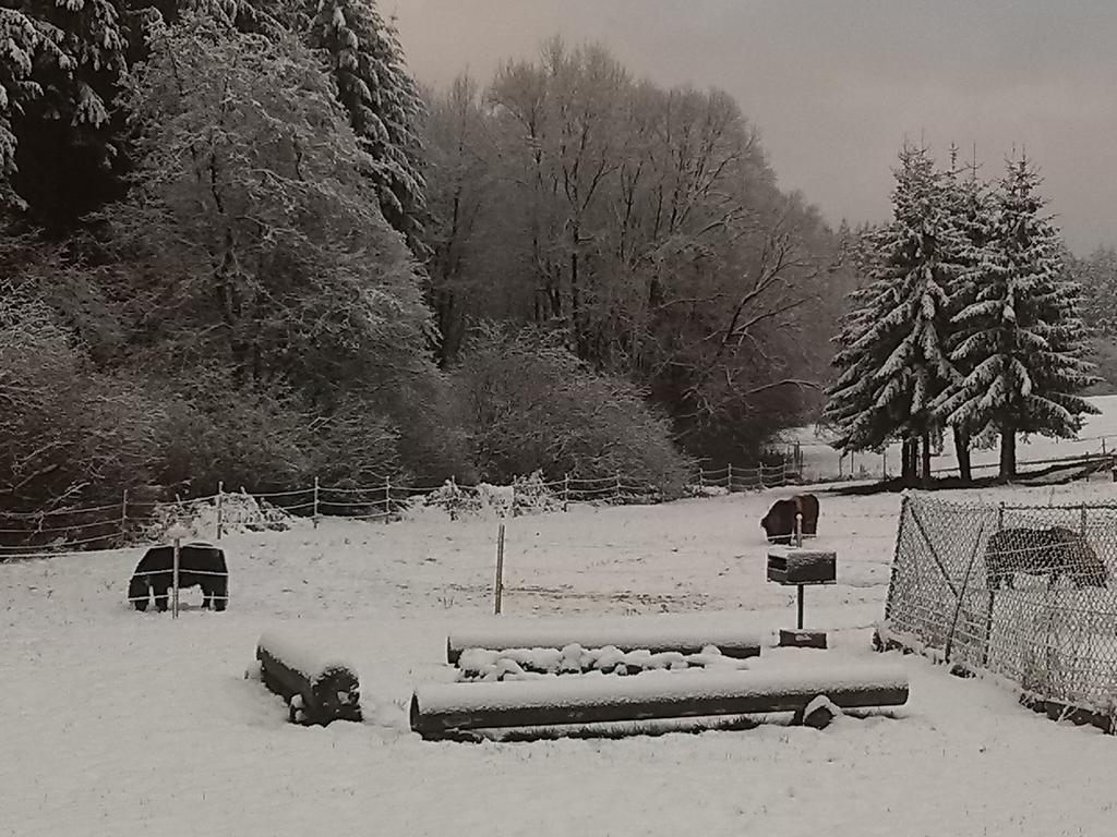 Muehlenhof Stadtkyll Buitenkant foto